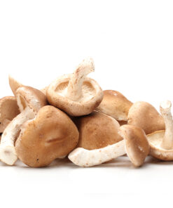 Shiitake